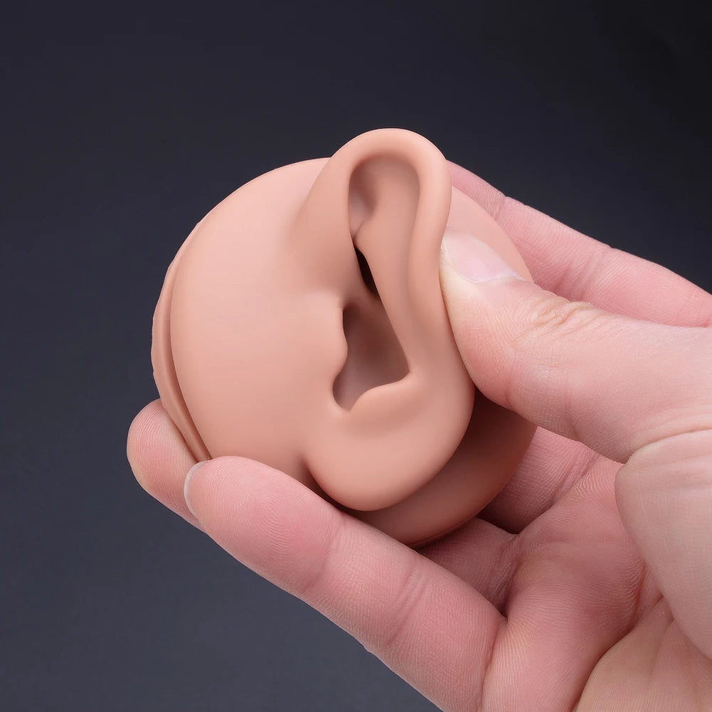 1pc Silicone Human Mouth Nose Ear Tongue Model Simulation Face Model with Display Stand Piercing Jewelry Display Teaching Tool